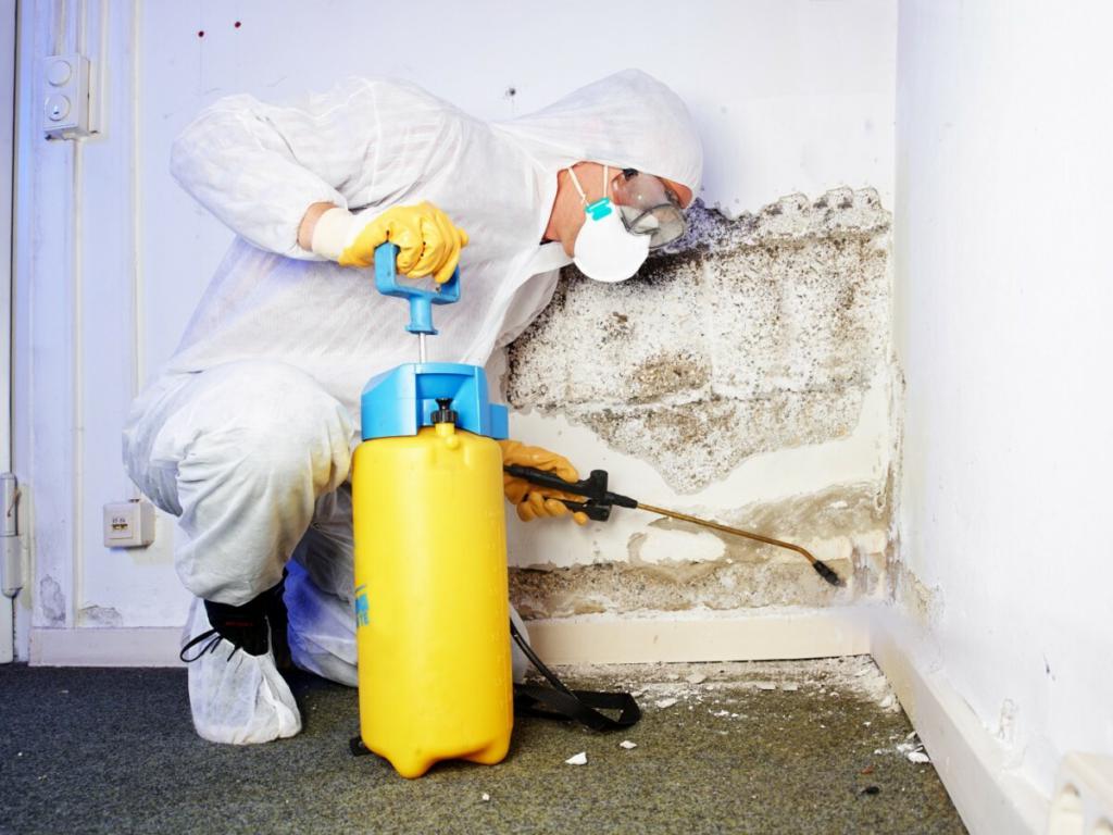 Mold Damage restoration