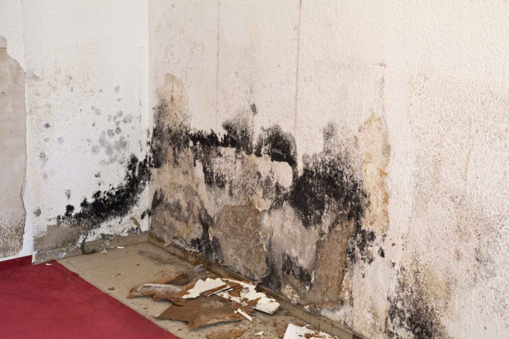 Mold damage